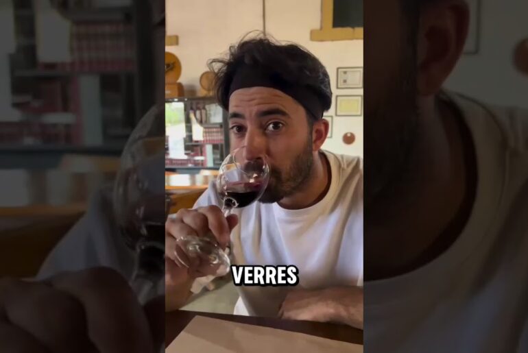 French Travelers' Experience in Mendoza | Maipu Bikes 🚲🍷