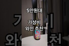 알자스 네츄럴 와인을 알려드림 #알자스와인 #프랑스와인 #네츄럴와인 #가성비와인 #와인유튜버