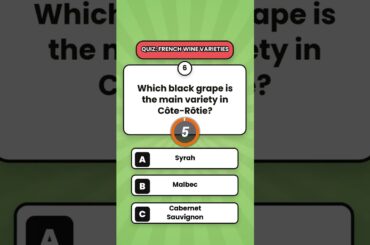Test your French wine variety knowledge! #Shorts