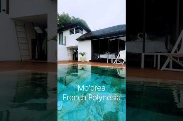 Best Air BnB ever: Mo'orea French Polynesia! #tahiti #luxury #travel #shorts #airbnb #romantic #vlog
