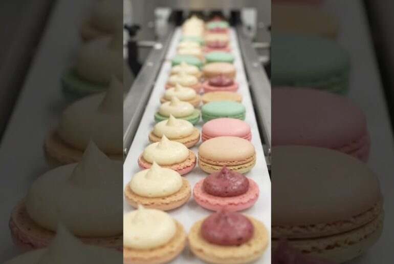 How 10,000,000 French Macarons Are Made Inside a Satisfying Factory In Seconds🍬🇫🇷⚡ #foodfactory