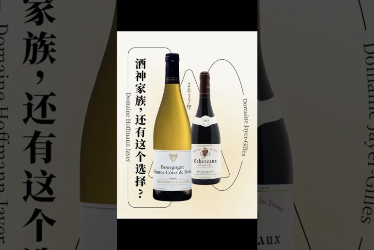 酒神家族，还有这个选择？Domaine Jayer-Gilles
