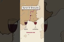 Stop hunting for the grape on French wine labels 🍷 #shorts