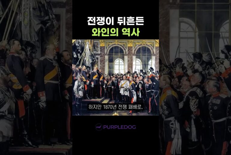전쟁이 뒤흔든 프랑스 와인의 역사: 포도나무를 전부 뽑아버리다?