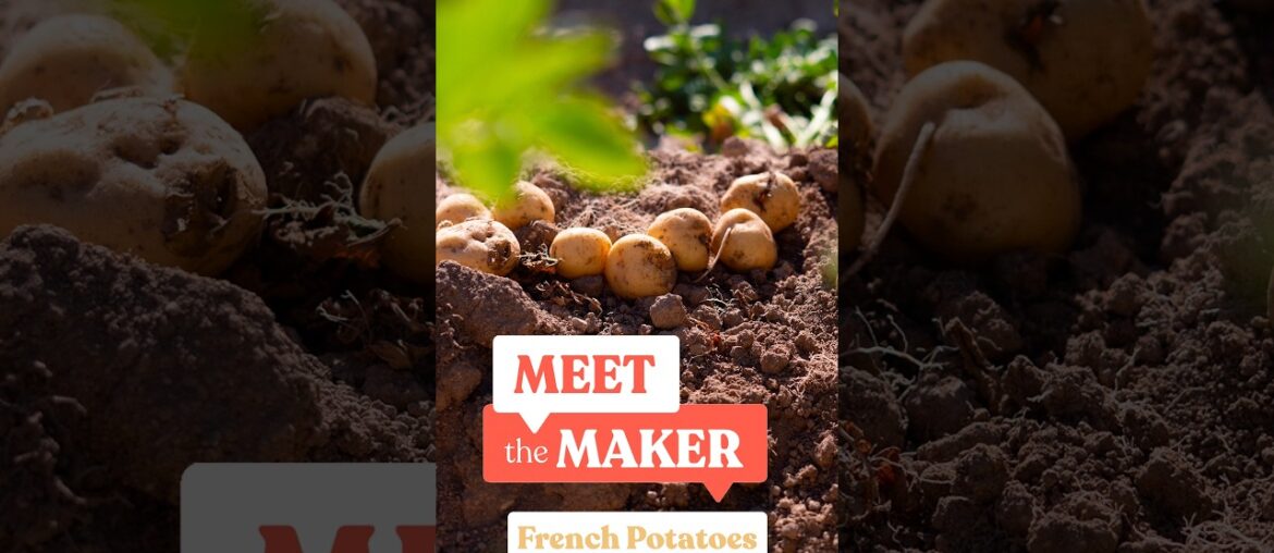 Meet the Maker | How Do Potatoes Grow? Meet the Maker | How Do Potatoes Grow?