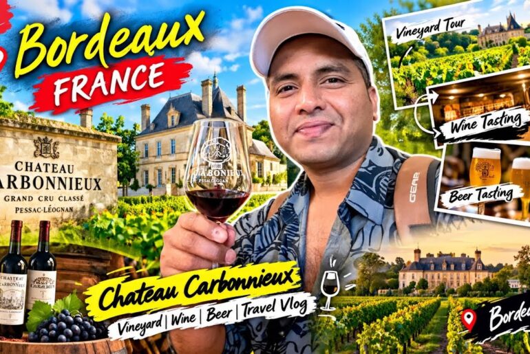 Visited a French Winery🍷in Bordeaux 🇫🇷 Château Carbonnieux#france #wine #winery #chateauxabandonnés