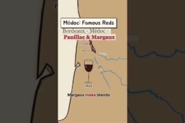 Bordeaux Left Bank: Red, Dry White & Sweet 🍷 Médoc, Graves, Sauternes #shorts