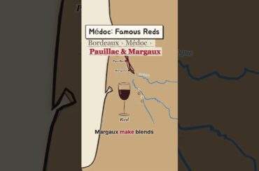 Bordeaux Left Bank: Red, Dry White & Sweet 🍷 Médoc, Graves, Sauternes #shorts