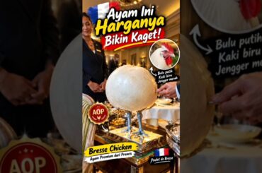 Ayam Termahal Prancis, Kenapa Harganya Bikin Kaget? #shorts #bresse #chicken