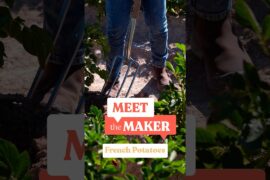 Meet the Maker | Grenailles, Yellow or Red: Which Potato to Choose?