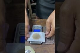 ยีสต์ทำไวน์ฝรั่งเศษ