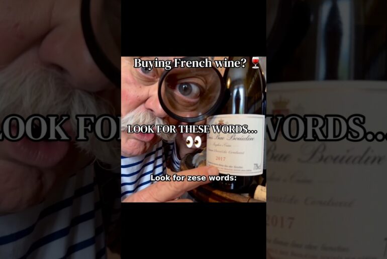 How to read a French wine label 🇫🇷🍷 Look for “Château” and “Domaine”… #wineforbeginners