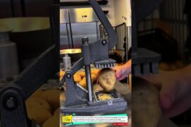 French Fry Cutter Tool for Slicing Potatoes Quickly #shortvideos