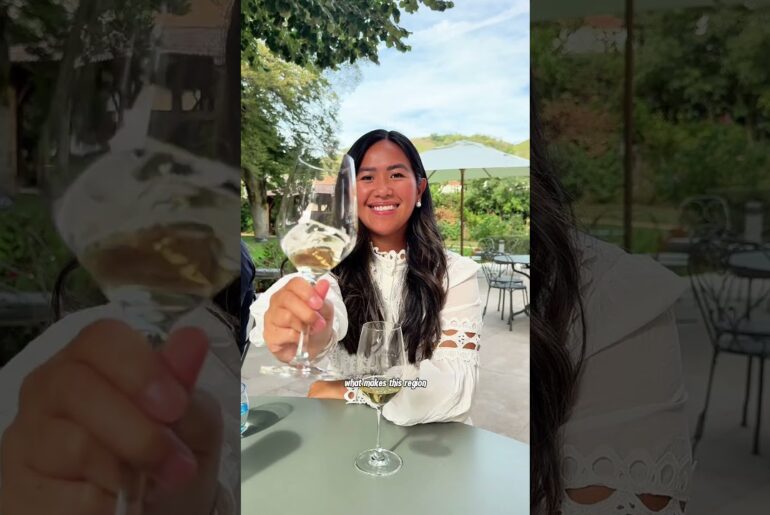 The Best Day Trip From Lyon! 🍷 | Northern Rhône Valley Wine Tour Vlog #travel