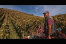 THE HILLS OF WRATH: Film & Wine Tasting! Sunday November 15th!