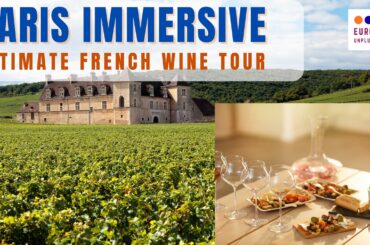 Paris Immersive Ultimate French Wine Tour