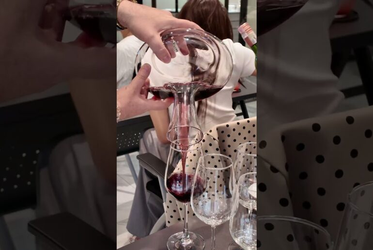Ep.3  l  Foundation Of Sommelier Skills  #winelovers #wine #frenchwine