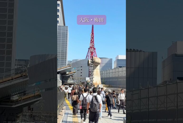 【大阪梅田】梅田なのにまだ穴場！千円台フレンチカフェランチコース！
