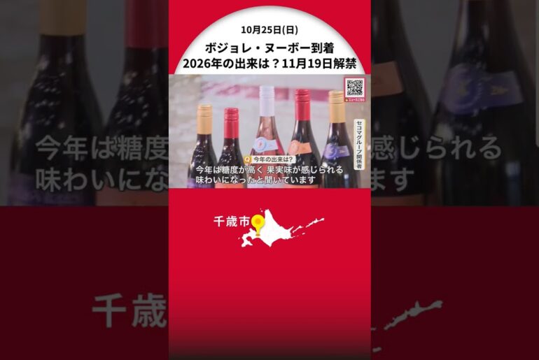 【11月19日解禁！販売を開始】ボジョレ・ヌーボーが新千歳空港に到着「糖度が高く非常に果実味が感じられる」フランス直輸入のワインの新酒〈北海道〉