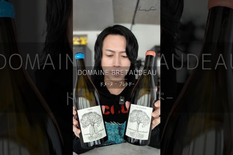 【世界が注目🇫🇷】Dom. Bretaudeau/ブレトドー #wine  #フランスワイン ＃ロワール