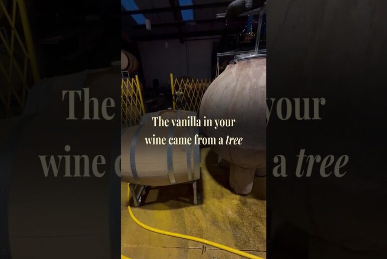 Where the Vanilla in Your Wine Really Comes From
