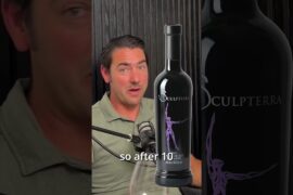 Why Zinfandel Belongs in American Oak, Not French  #podcast #waterintowine #pasorobles