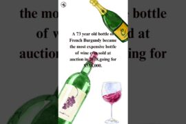 Knowledge is infinite 🐝 #most expensive wine #French burgundy